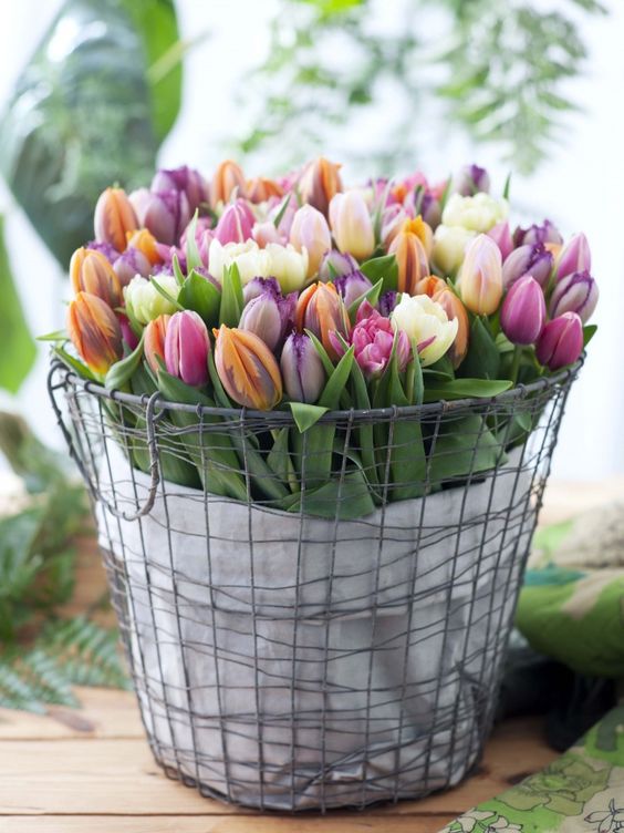 Tulpen: verzorgingstips + 8x interieur inspiratie!